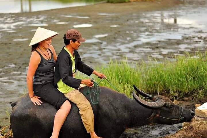Buffalo Riding Adventure and Basket Boat Tour - small group